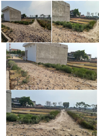 Al Amna Agro-20082401